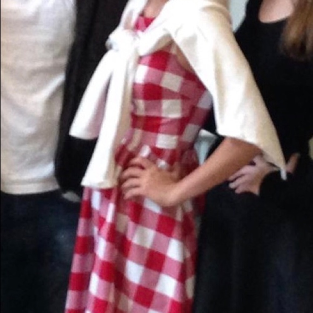 Red and white gingham 50’s style dress - Picture 3 of 5
